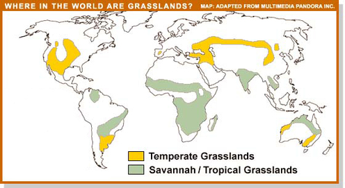 Temperate Grassland World Map - United States Map